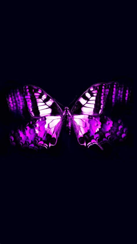 Black Butterfly Purple Iphone 7 Wallpaper 2020 3d Iphone Wallpaper