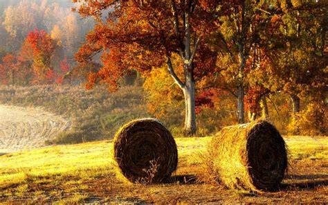 Tons of awesome autumn scenes wallpapers to download for free. Beautiful Fall Wallpapers - Wallpaper Cave