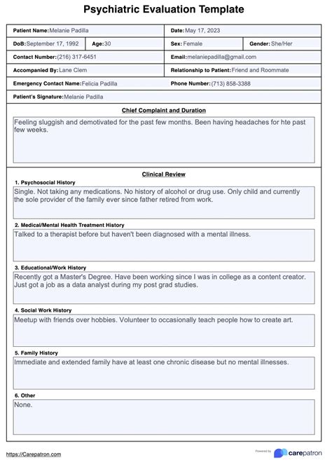 Psychiatric Evaluation Template Example Free Pdf Download