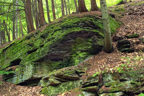 Free Images Tree Nature Rock Wilderness Hiking Trail Leaf