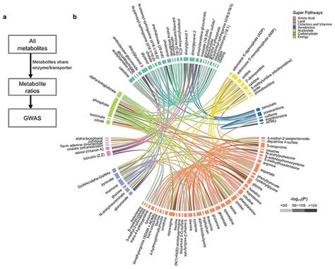 Genomic Atlas Of The Plasma Metabolome Prioritizes Metabolites