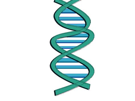 Dna Clip Art At Vector Clip Art Online Royalty Free