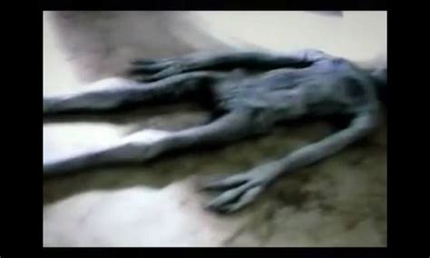 A New Photos Of The Mummified Bodies Of Aliens Found In A Cave On The