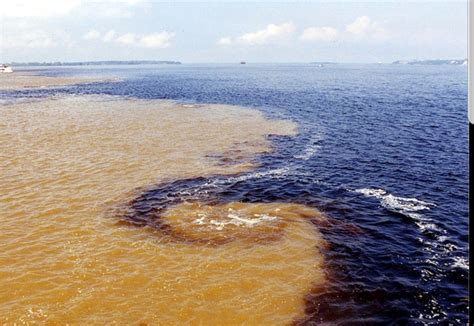 Meeting Of Waters Manaus Great Places Places To See Beautiful Places