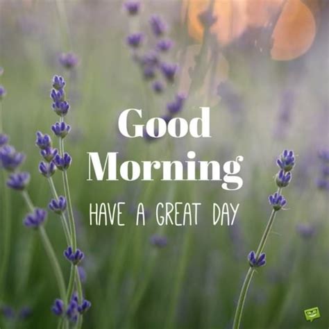 And here's wishing you the very best for all the new ventures, that life has in store for you. Have a Beautiful Day | Good Morning Quotes on Pictures