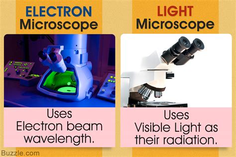What Are The Differences Between Light Microscopes And Electron Check All That Apply
