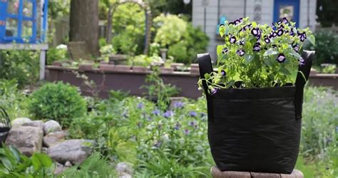 Discover More Than 71 Garden Grow Bags Latest Induhocakina