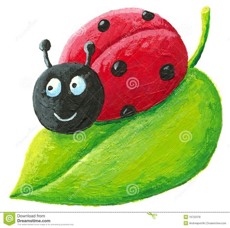 Removable diy baseboard green grass ladybug butterfly skirting line nursery kindergarten home decor art wall stickers wallpaper. Cute Ladybug On Green Leaf Royalty Free Stock Photos - Image: 16722378