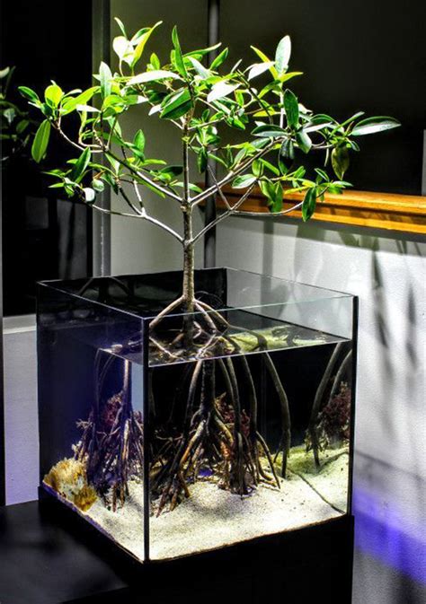 35 Modern Mini Aquarium Designs For Your Small Spaces Homemydesign