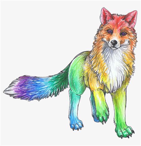 Rainbow Cute Animal Animals Sketch Art Drawing Colorful Rainbow Fox
