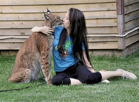 Domestic Lynx Cat Pet Cat Meme Stock Pictures And Photos