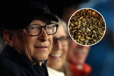 Fact Check: Has Bill Gates Advised Eating Crickets to 'Stay Healthy