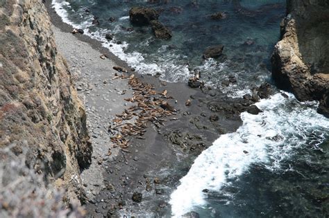 Anacapa Island At Channel Islands National Park 7 Dougs Channel