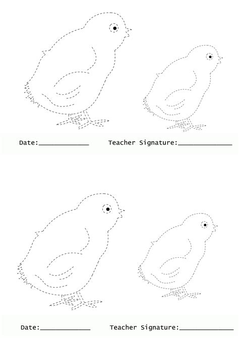Drawing Printable Worksheets for Pre Nursery – Shamim Grammar School (SGS)