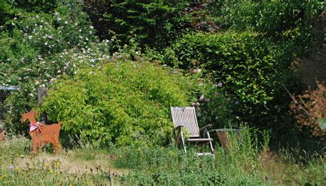 Abenteuer summender garten veröffentlicht am 25. Naturnaher Garten