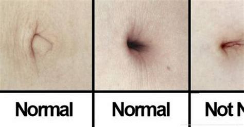 10 strange things you probably didn t know about your belly button thatviralfeed