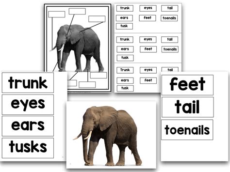 Zoo Animals: A Research and Writing Project PLUS Centers! – The