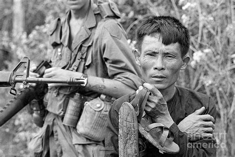 Viet Cong Prisoner With Marine Photograph By Bettmann Fine Art America