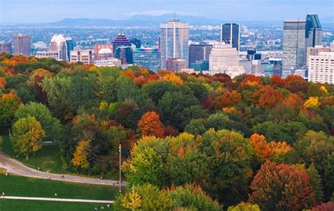 Seis Parques En Montreal Que Te Ofrecen La Mejor Versión Del Otoño