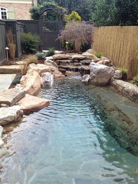 Fascinating Backyard Swimming Ponds Ideas 21 Backyard Pool Swimming Pools Backyard Backyard