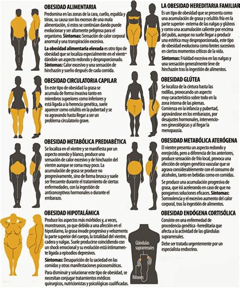 gord o delgad tipos de gordura en los seres humanos