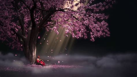 We have a massive amount of desktop and mobile backgrounds. Sakura Tree Wallpapers - Top Free Sakura Tree Backgrounds ...