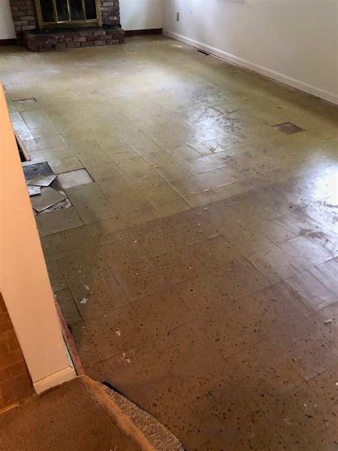 Maybe you would like to learn more about one of these? Asbestos In Carpet Glue - Carpet Vidalondon