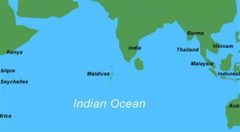 Check spelling or type a new query. SAMUDRA DI DUNIA - IKAN DAN LAUT