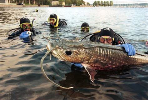 Get FuN Here: 13 Scariest Freshwater Animals - National Geographic