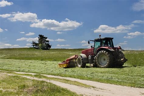Summer Day Red Tractor Mows The Lawn For Animal Feed Stock Photo
