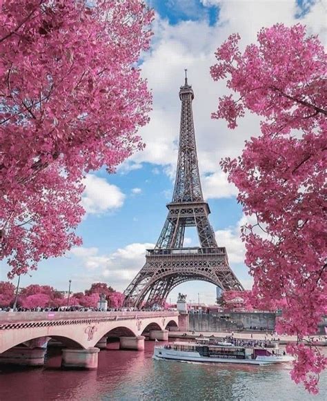 Cool Eiffel Tower Cherry Blossom Wallpaper References