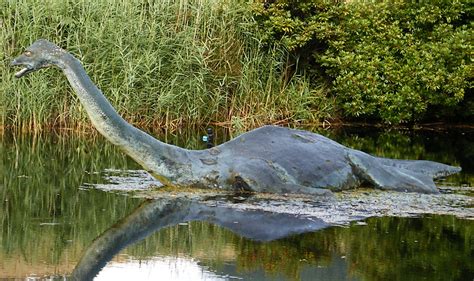 Monstruo Del Lago Ness Wiki Reino Animalia Fandom Powered By Wikia