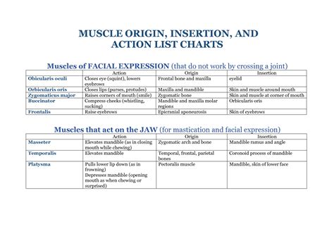 SOLUTION Muscle Origin Insertion And Action List Charts Studypool