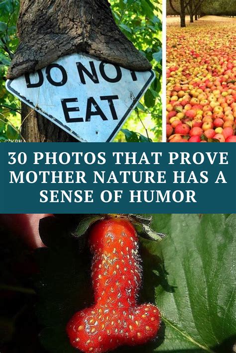 Mother Nature Is Just As Hilarious As She Is Beautiful She Has A Pretty Good Sense Of Humor We