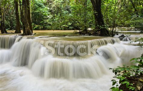 Tropical Rainforest Waterfall Stock Photo Royalty Free Freeimages