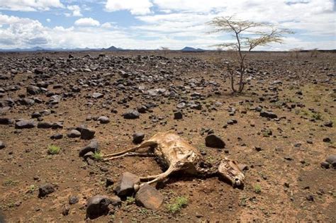 Cambio Climático ¿por Qué El Mundo Está En Una Etapa Crucial Para Su