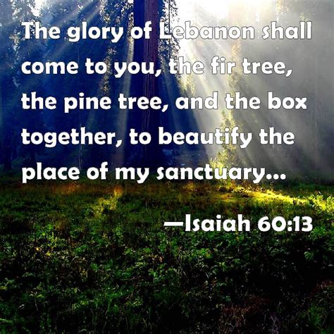 Isaiah 6013 The Glory Of Lebanon Shall Come To You The Fir Tree The