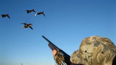Ördek Avı Duck Hunting 5 Hd лов патица охоты на уток 2015 Youtube