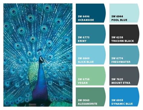 This colourful display is believed to be a way to attract females for mating purposes, and secondly to. Chip It! by Sherwin-Williams - Home | Peacock color scheme ...