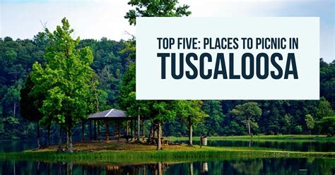 Top Five Places To Picnic In Tuscaloosa Visit Tuscaloosa