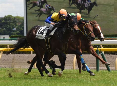 P丸様。 ロマンスの不祥事 逃がさない 消してあげる 宣誓! 【競馬】2021年JRAカレンダーを40万名にプレゼント。 | うま速 ...