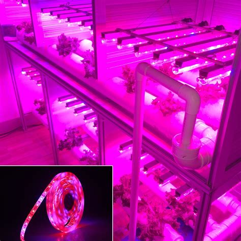 Full Spectrum Led Grow Lights 5 Meters Led Grow Strip