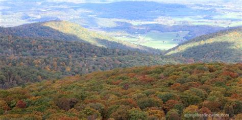 Spend A Day On The Crest Of The Blue Ridge Mountains
