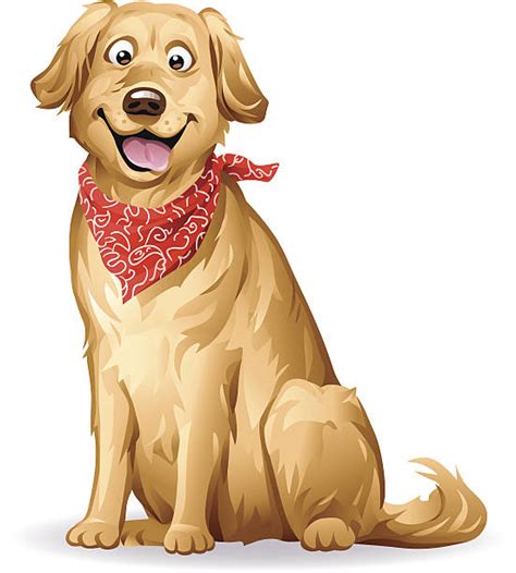 Golden Retriever Illustrations Royalty Free Vector Graphics And Clip Art