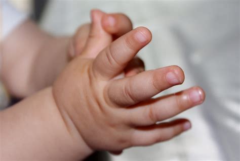 Child Infant Hands Childrens Free Photo On Pixabay Pixabay