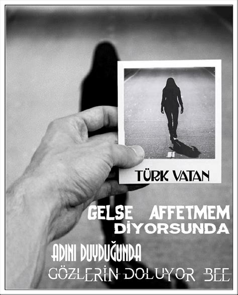 TÜrk Vatan In 2023 Movie Posters Movies Poster