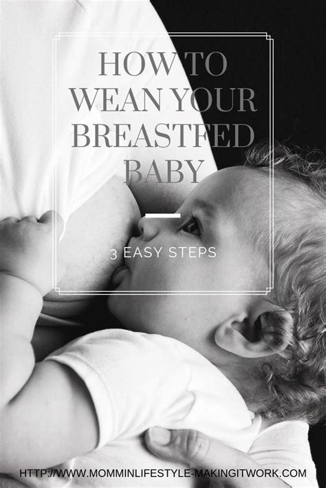 How To Best Wean Your Breastfed Baby With Images Breastfed Baby