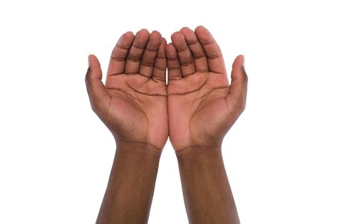 두 손을 잡고 흰색 배경에 격리된 무언가를 제공합니다 열린 흑인 남성 손바닥 소수의 제스처 프리미엄 사진