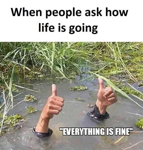 When People Ask How Life Is Going Everything Is Fine