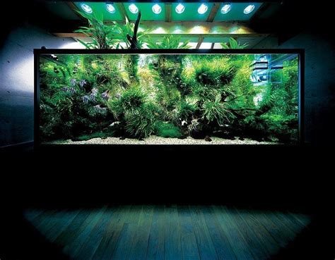 Legendary among aquarists, takashi amano is one of the biggest names in the aquascaping one of our aquarists here at aquarium architecture was fortunate enough to be trained by takashi amano. Takashi Amano Home Aquarium | Nature aquarium, Aquascape ...